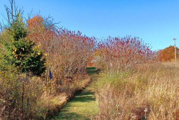 This Month at Meadow Path ~ September 2026