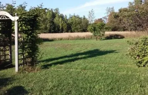 labyrinth at Meadow Path