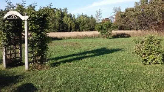 labyrinth at Meadow Path