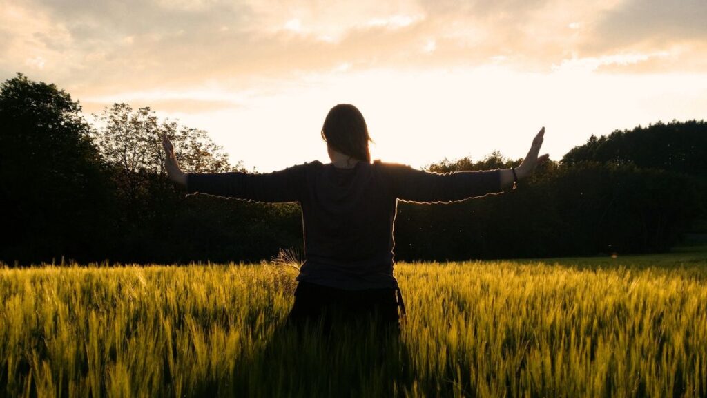 tai chi gung in the meadow
