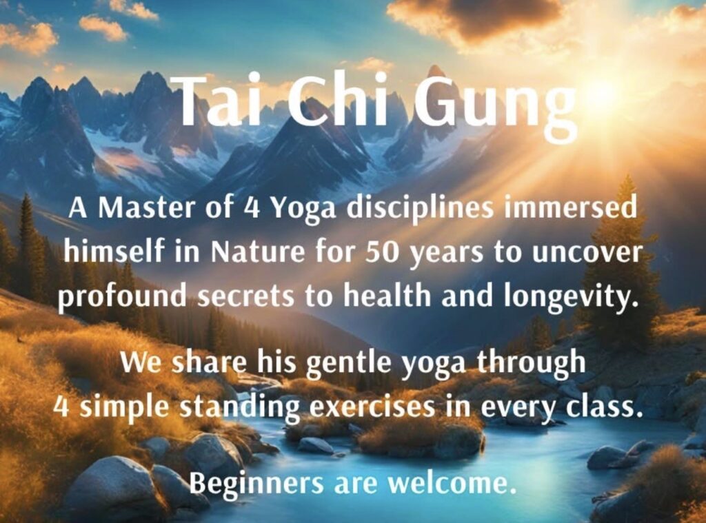 tai chi gung fred abrams
