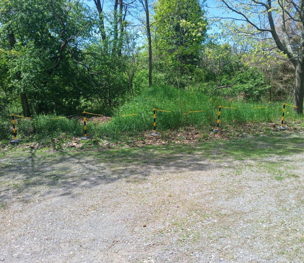 Parking area posts